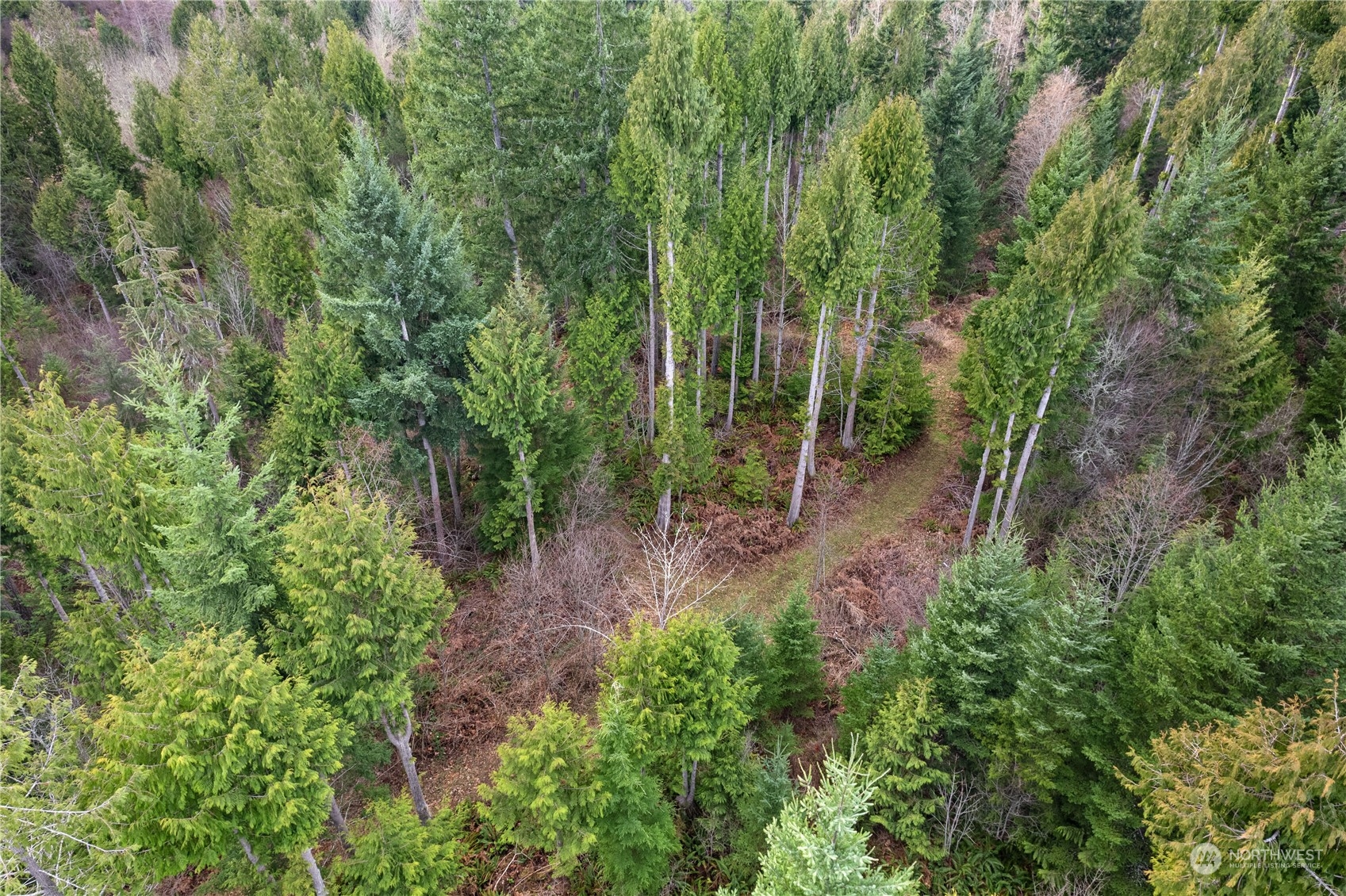 17 Mulqueen Road Southeast Rainier, WA 98576 - Photo 11 of 12 Gallery Image 11