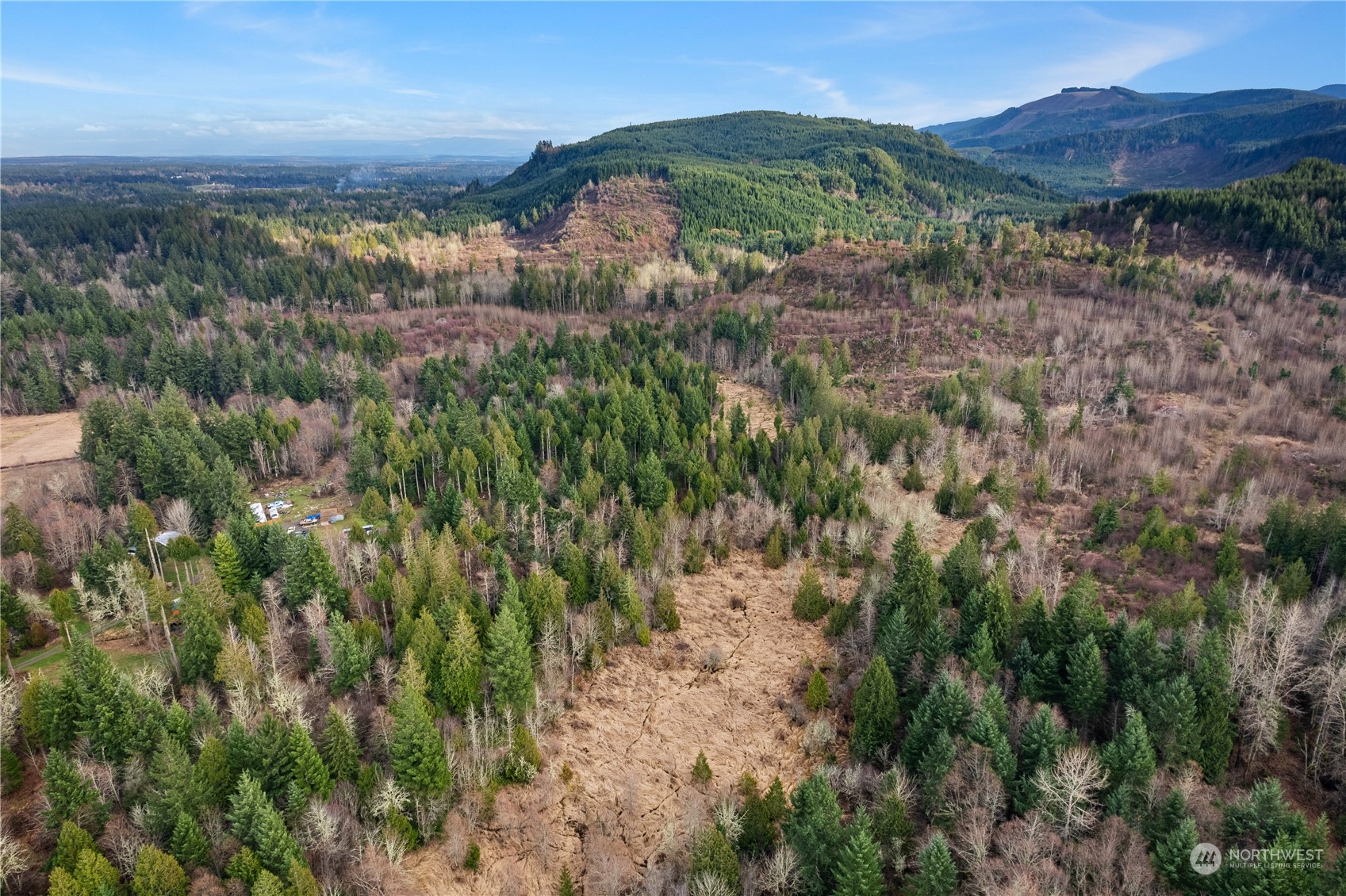17 Mulqueen Road Southeast Rainier, WA 98576 - Photo 8 of 12 Gallery Image 8