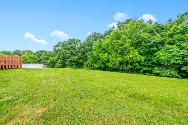 a view of yard with green space