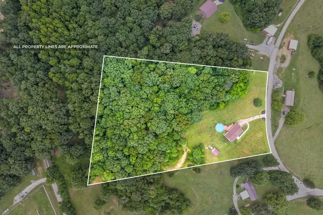 a aerial view of a garden