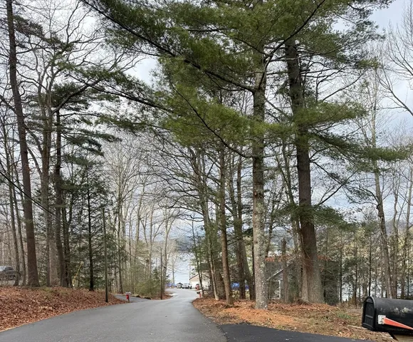 a view of road with trees