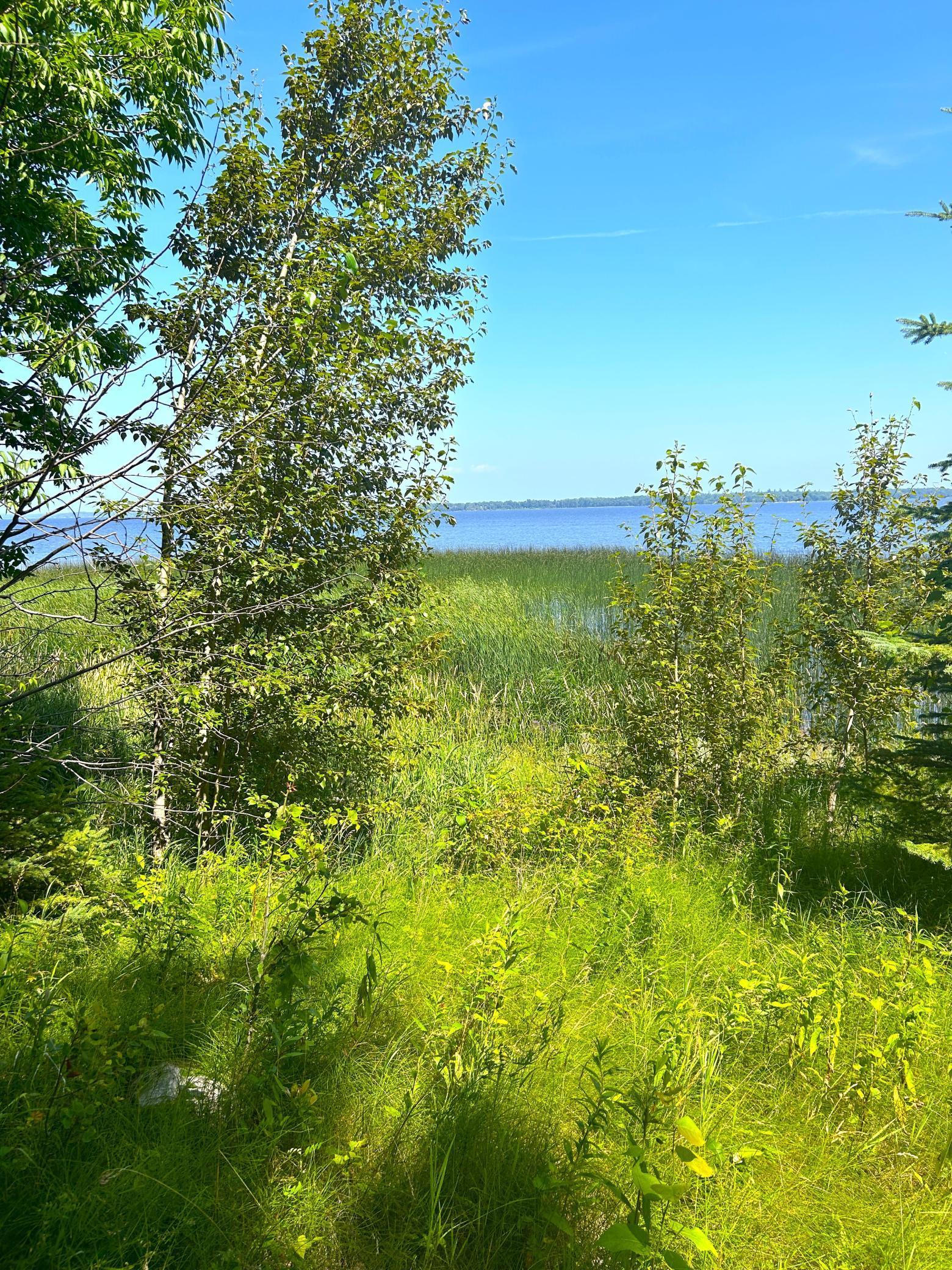 16779 Angle Shoreline Angle Inlet, MN 56711 - Photo 33 of 53