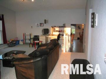 6575 Walsh Road Ellis Grove, IL 62241 - Photo 3 of 7