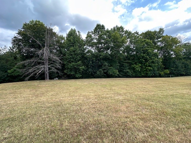 671 Peach Avenue Morrison, TN 37357 - Photo 13 of 69