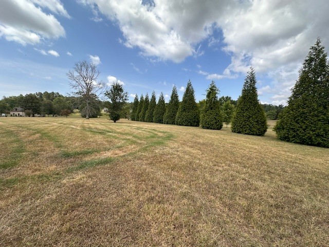 671 Peach Avenue Morrison, TN 37357 - Photo 15 of 69