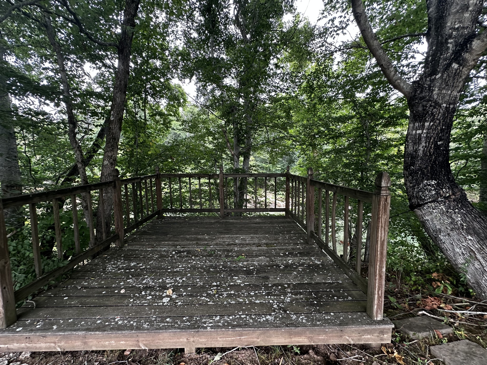 671 Peach Avenue Morrison, TN 37357 - Photo 66 of 69