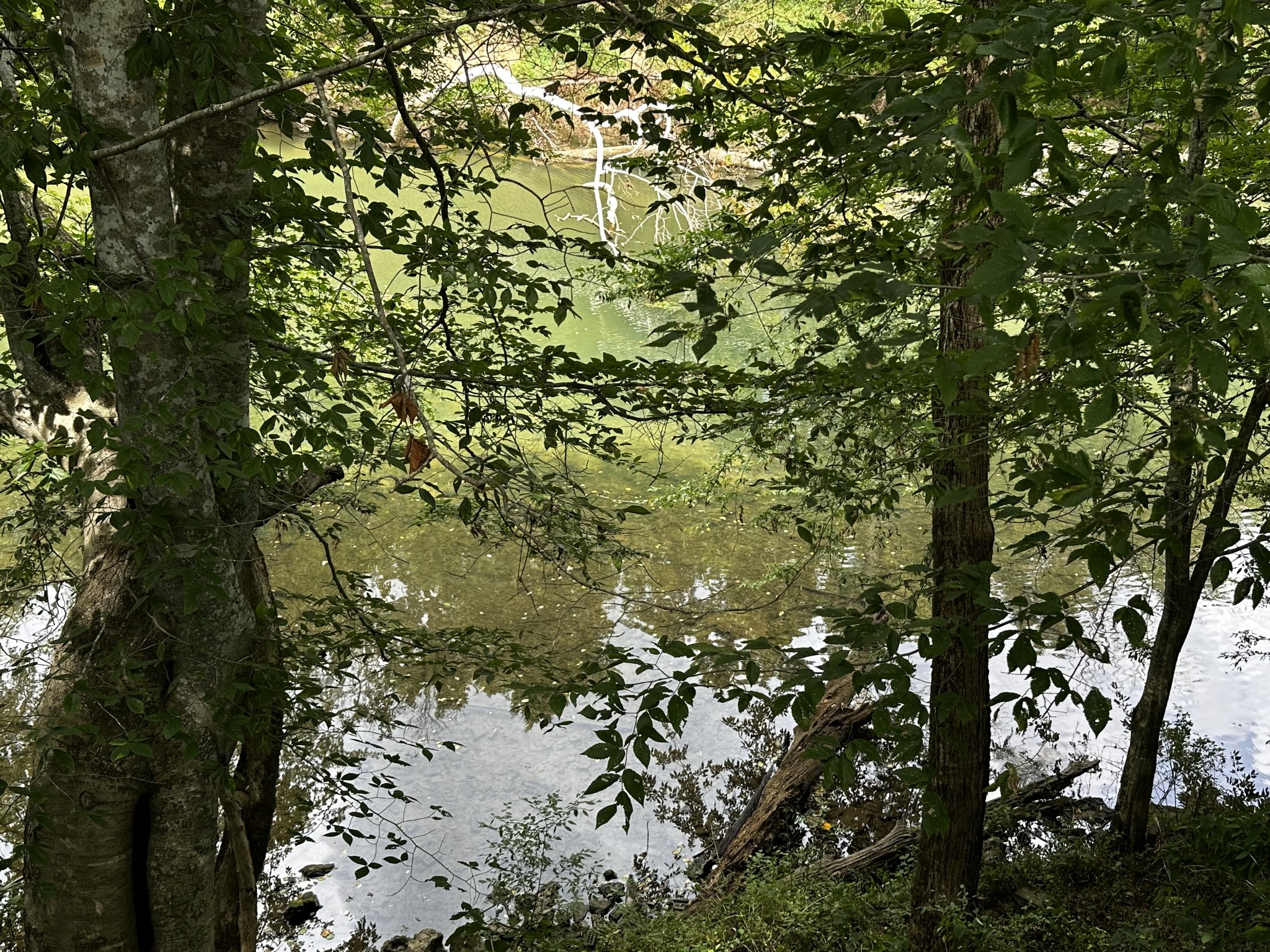 671 Peach Avenue Morrison, TN 37357 - Photo 68 of 69