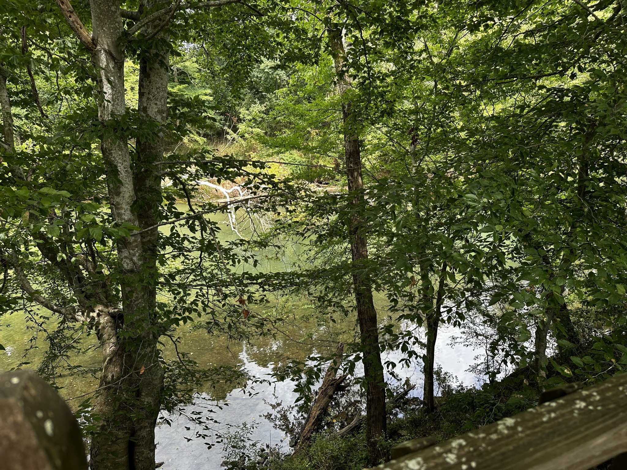 671 Peach Avenue Morrison, TN 37357 - Photo 69 of 69