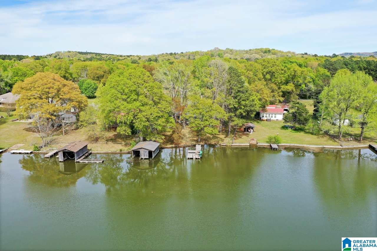 590 Cove Road Wilsonville, AL 35186 - Photo 13 of 37