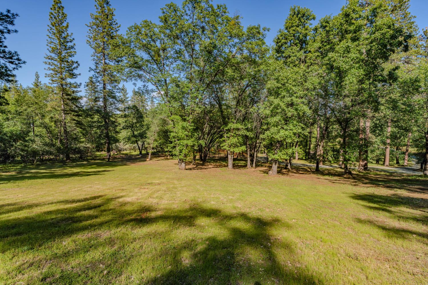 211 Fox Road Glencoe, CA 95232 - Photo 13 of 94