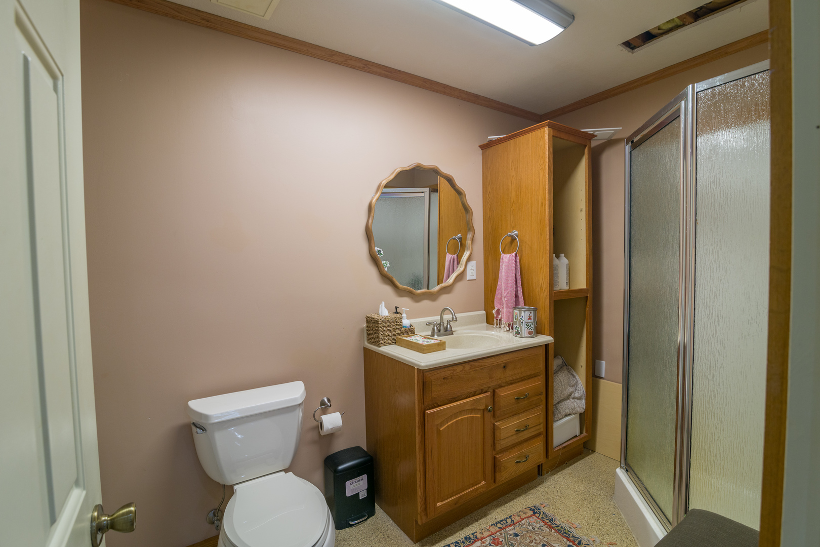 4789 Leghorn Road Clinton, IL 61727 - Photo 59 of 84 a bathroom with a toilet a sink and a mirror