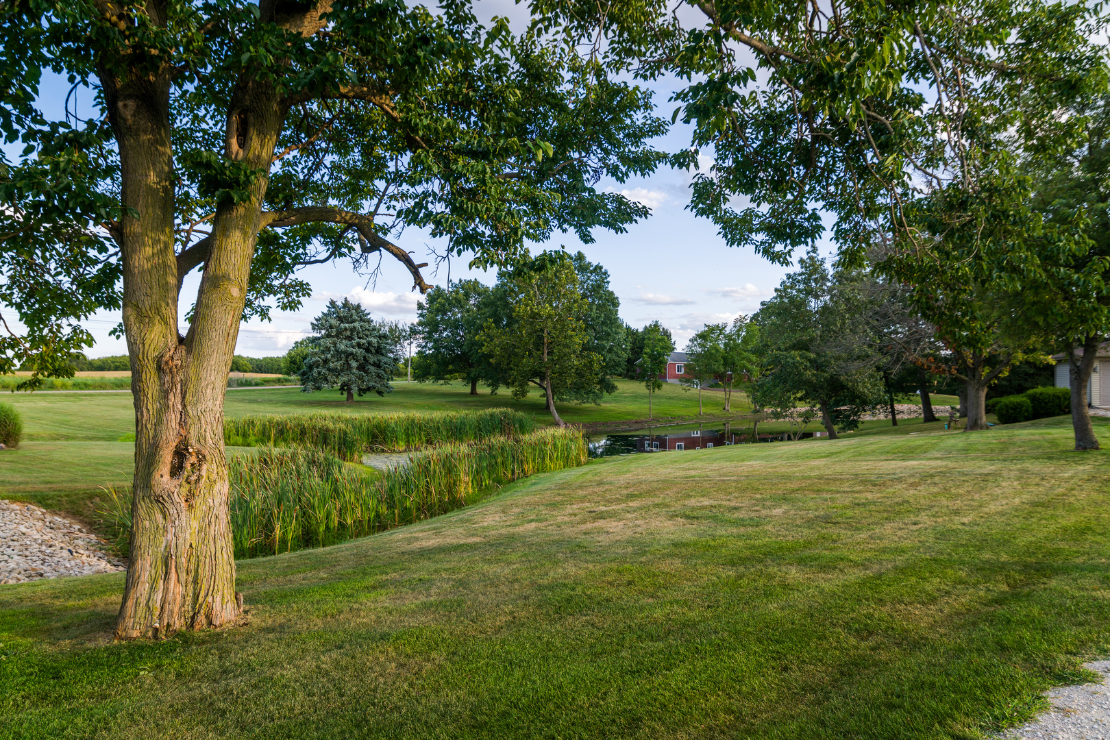4789 Leghorn Road Clinton, IL 61727 - Photo 75 of 84 a view of a golf course with a lake