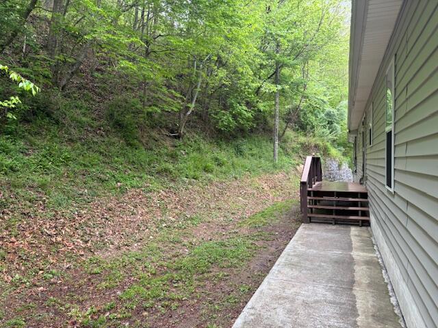 993 Lick Branch Road Carrie, KY 41725 - Photo 17 of 18 Nice spot for your cookouts!