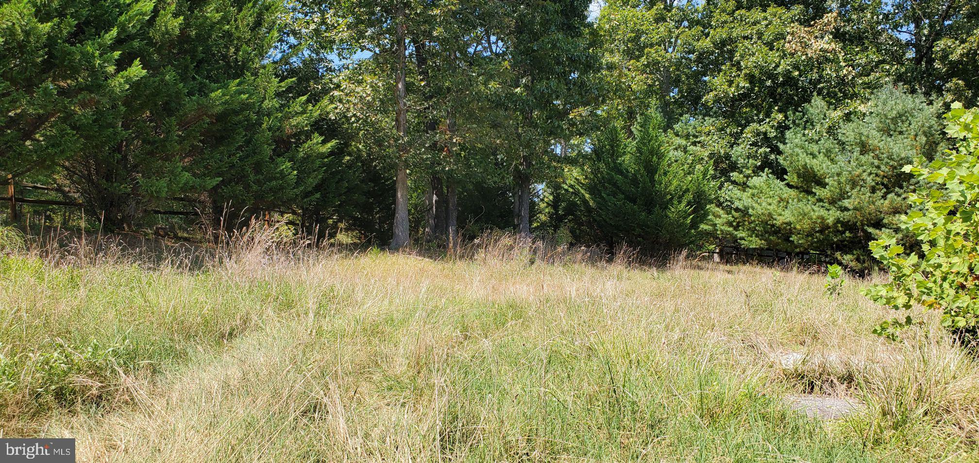 Lot 13 Panhandle Road Front Royal, VA 22630 - Photo 15 of 26 Gallery Image 15
