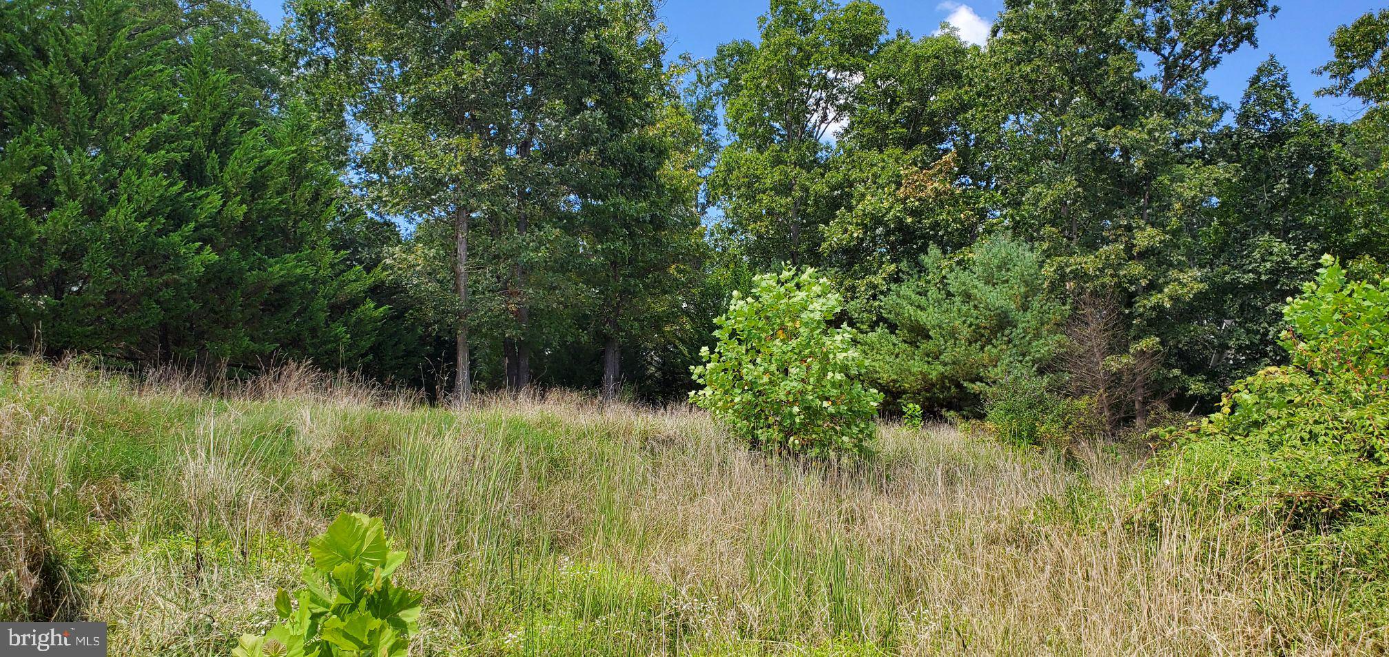 Lot 13 Panhandle Road Front Royal, VA 22630 - Photo 17 of 26 Gallery Image 17