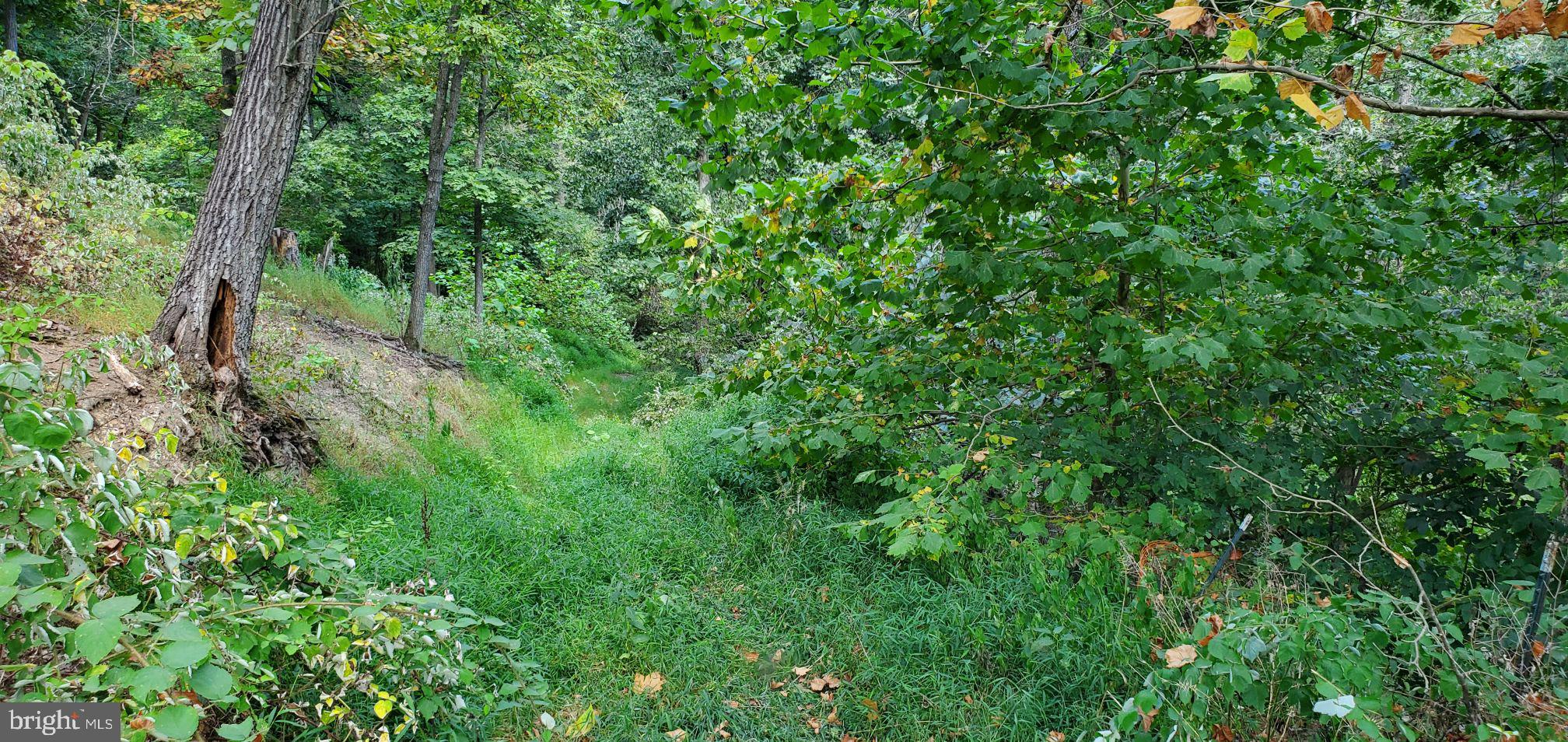 Lot 13 Panhandle Road Front Royal, VA 22630 - Photo 18 of 26 Gallery Image 18