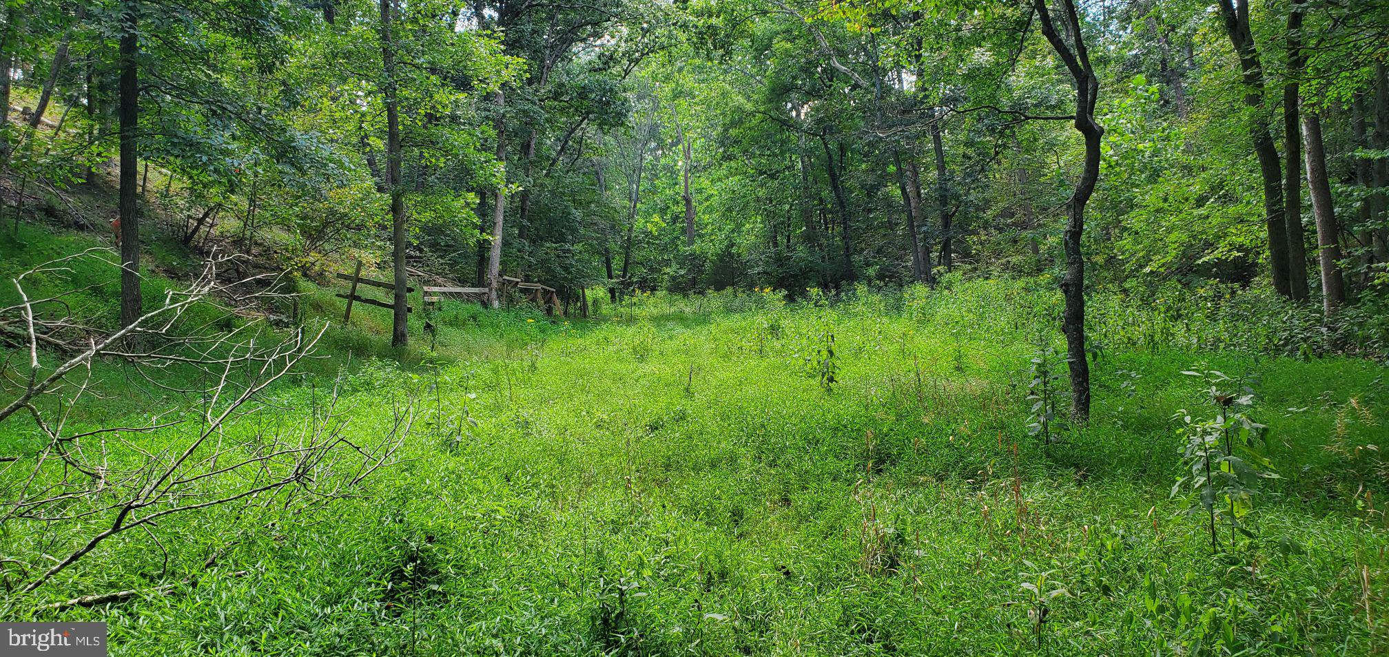 Lot 13 Panhandle Road Front Royal, VA 22630 - Photo 19 of 26 Gallery Image 19