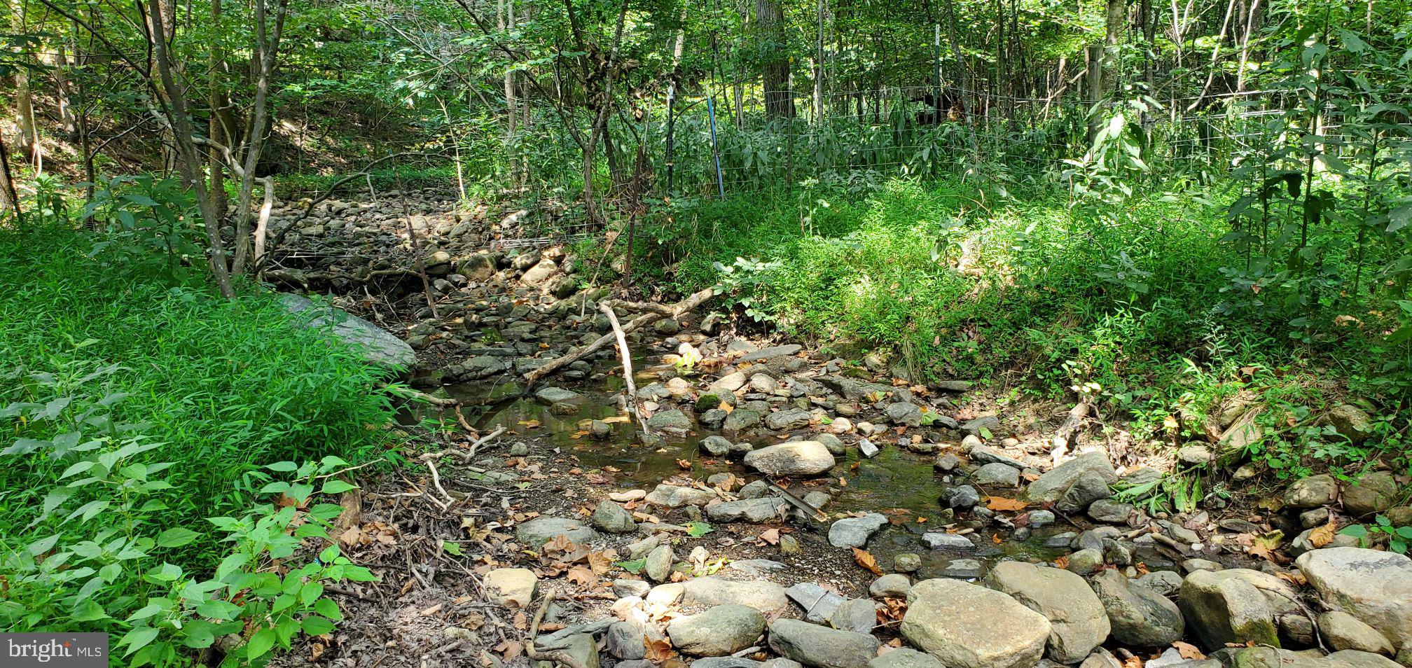 Lot 13 Panhandle Road Front Royal, VA 22630 - Photo 21 of 26 Gallery Image 21
