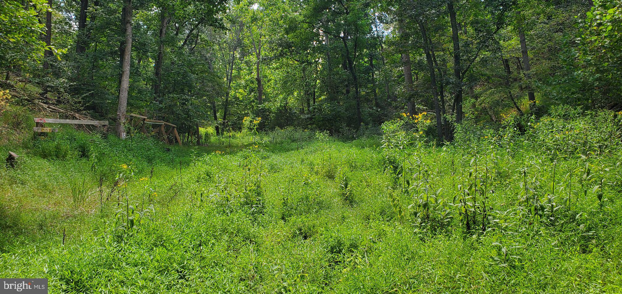Lot 13 Panhandle Road Front Royal, VA 22630 - Photo 22 of 26 Gallery Image 22
