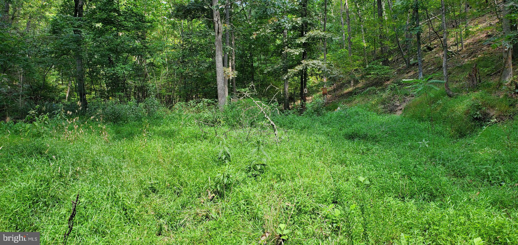 Lot 13 Panhandle Road Front Royal, VA 22630 - Photo 23 of 26 Gallery Image 23