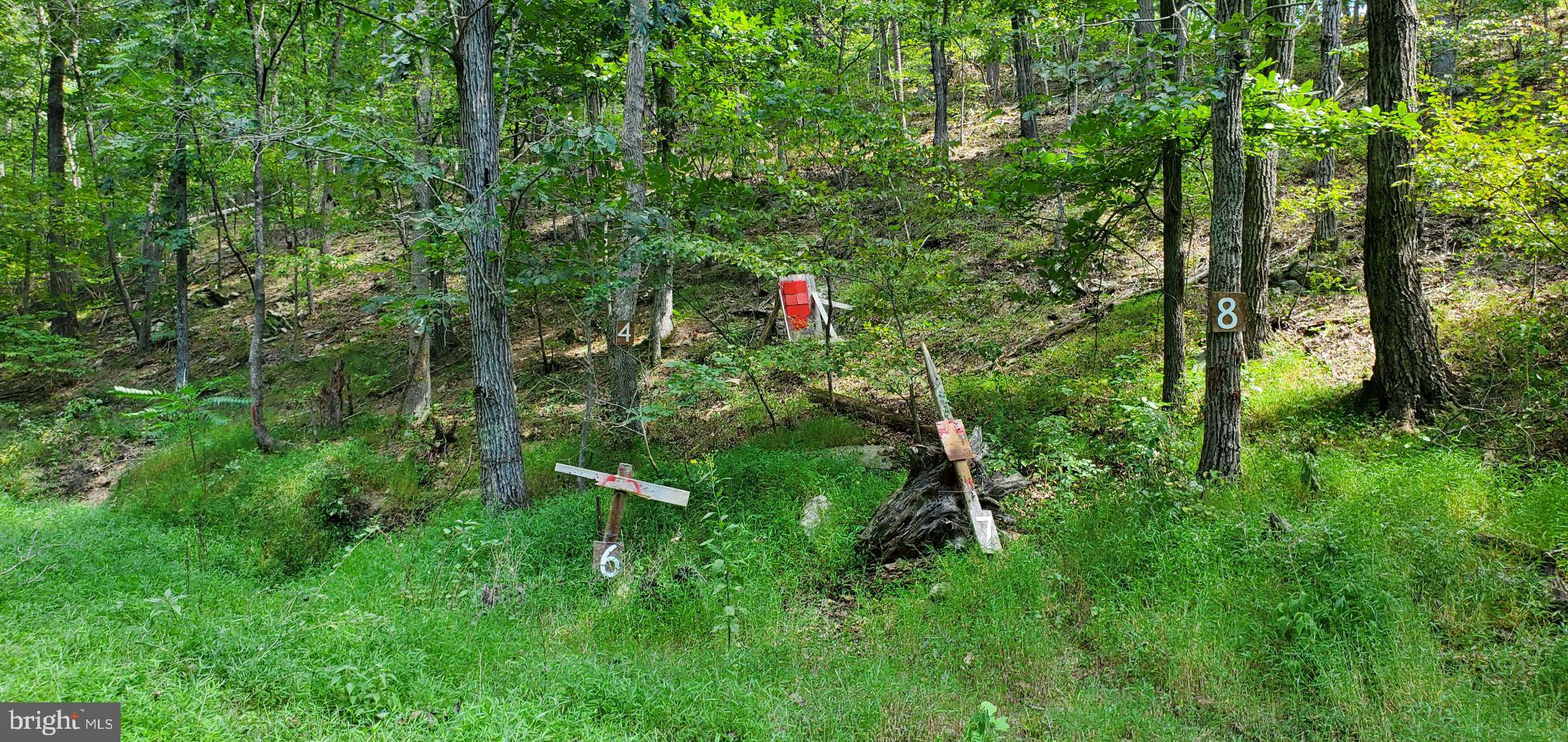 Lot 13 Panhandle Road Front Royal, VA 22630 - Photo 24 of 26 Gallery Image 24