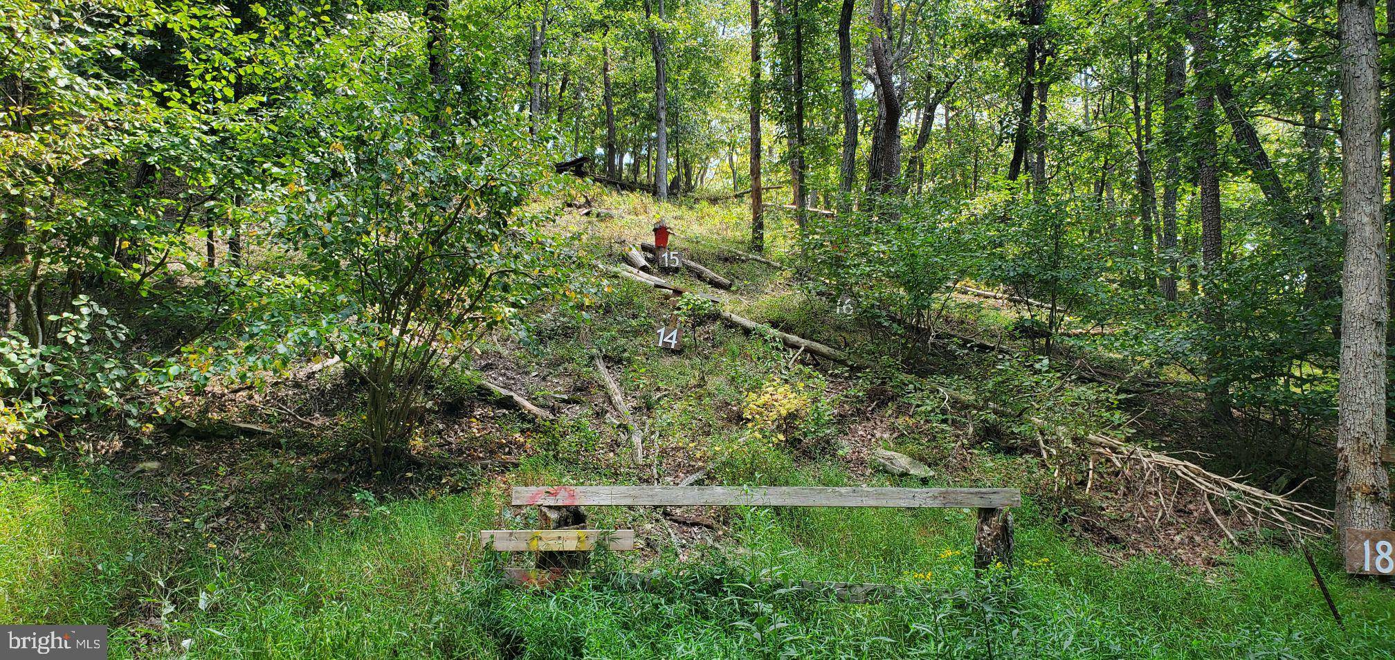 Lot 13 Panhandle Road Front Royal, VA 22630 - Photo 26 of 26 Gallery Image 26