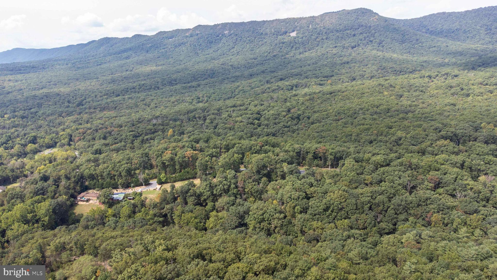 Lot 13 Panhandle Road Front Royal, VA 22630 - Photo 8 of 26 Gallery Image 8