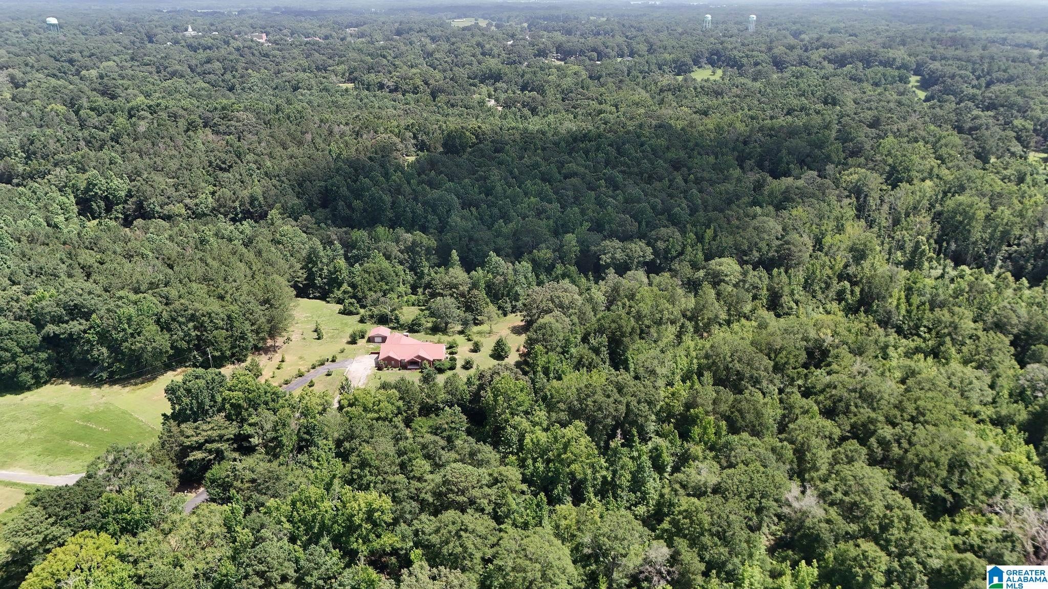 240 Pinto Road Greensboro, AL 36744 - Photo 49 of 54