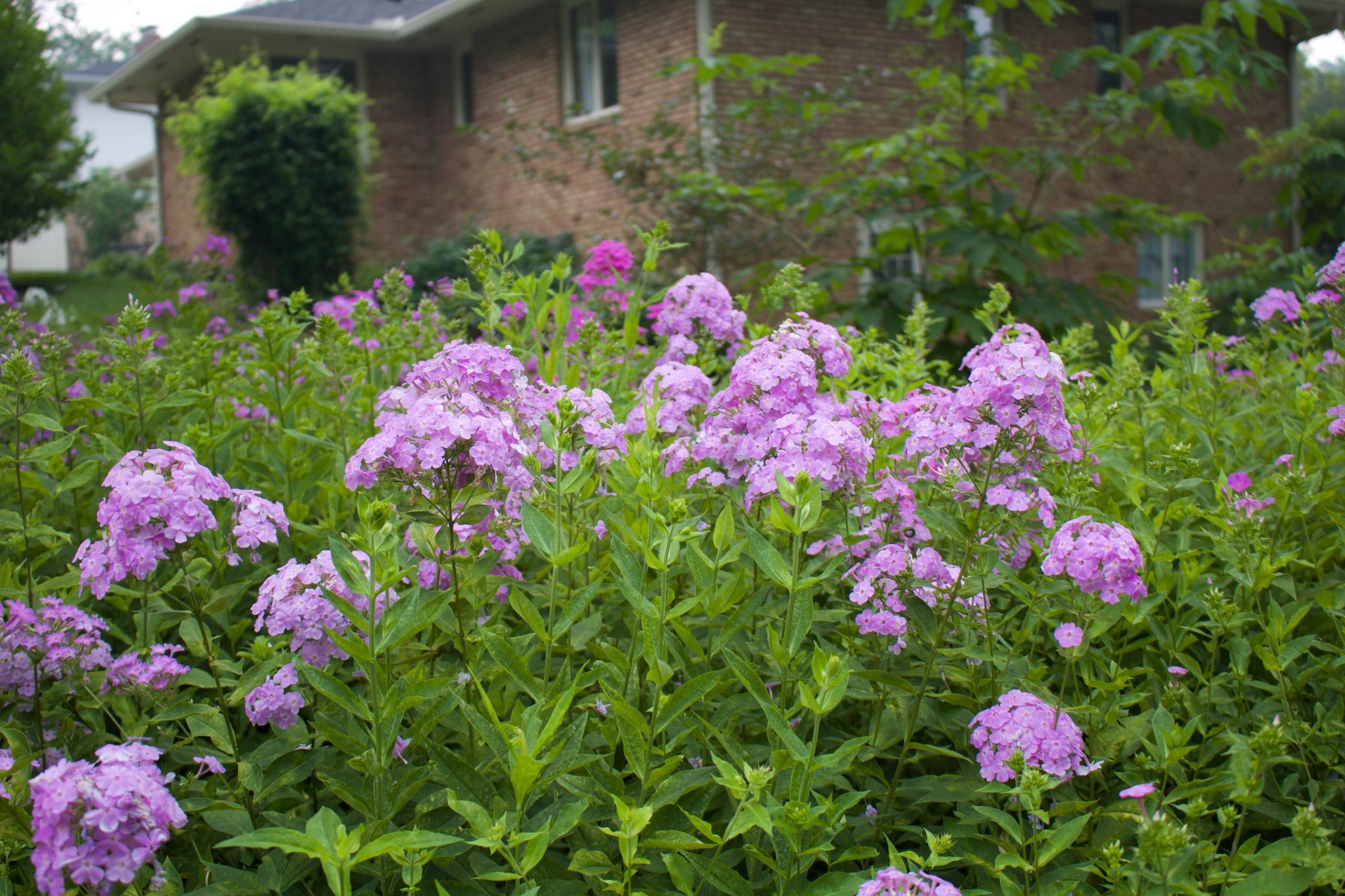 4620 Hampton Road Golden Valley, MN 55422 - Photo 47 of 64