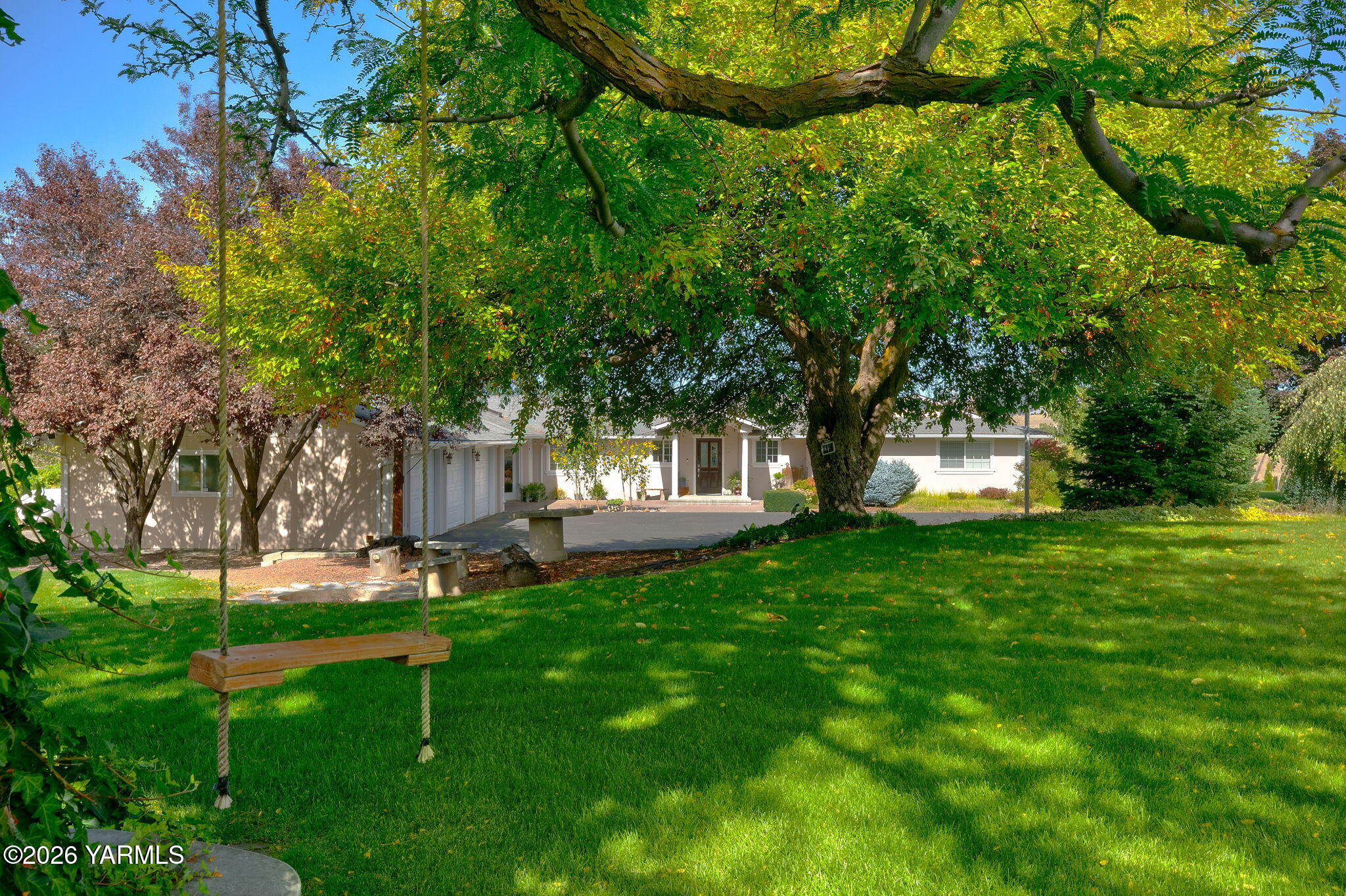 Beautiful Yard