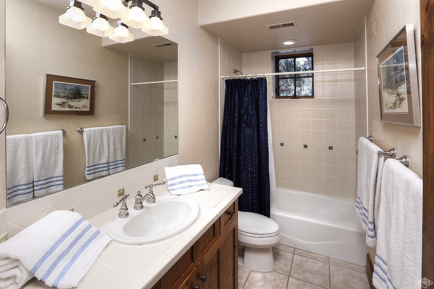 161 Fall Creek Road Edwards, CO 81632 - Photo 14 of 16 a bathroom with a granite countertop sink toilet and shower