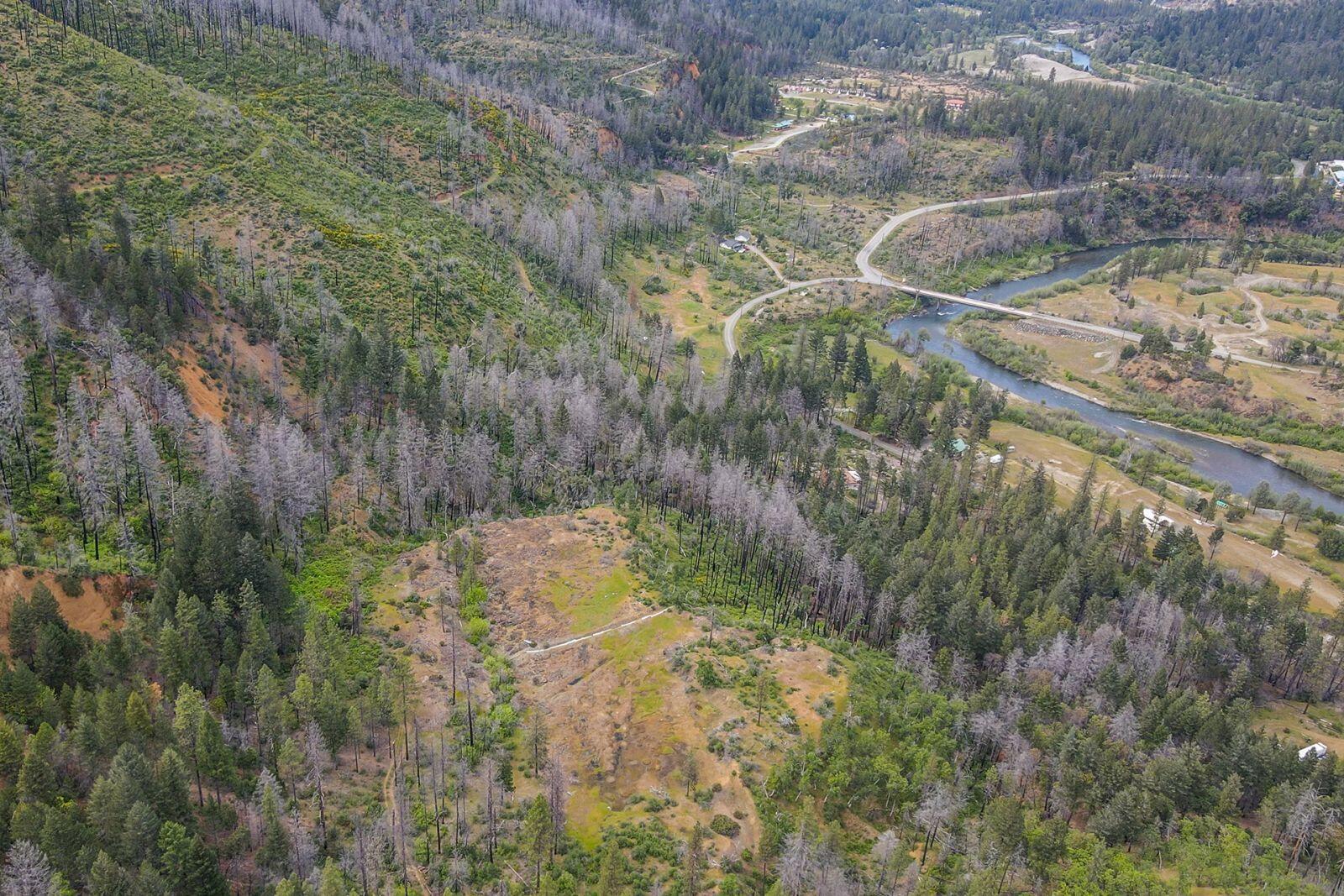 710 Dutch Creek Road Junction City, CA 96048 - Photo 22 of 38 a view of a yard with large trees