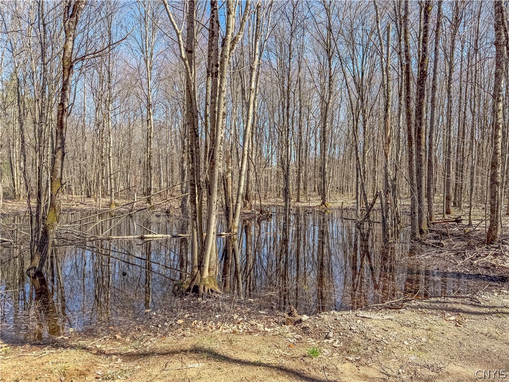 3976 Factory Road Diana, NY 13665 - Photo 45 of 46