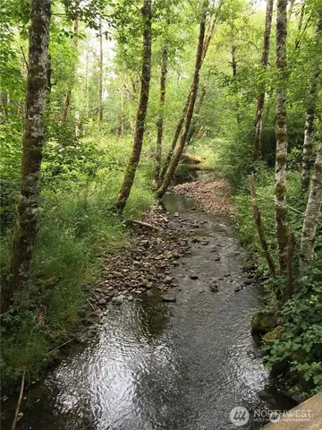 $199,900 | 685 Morse Street, Ryderwood, WA 98581