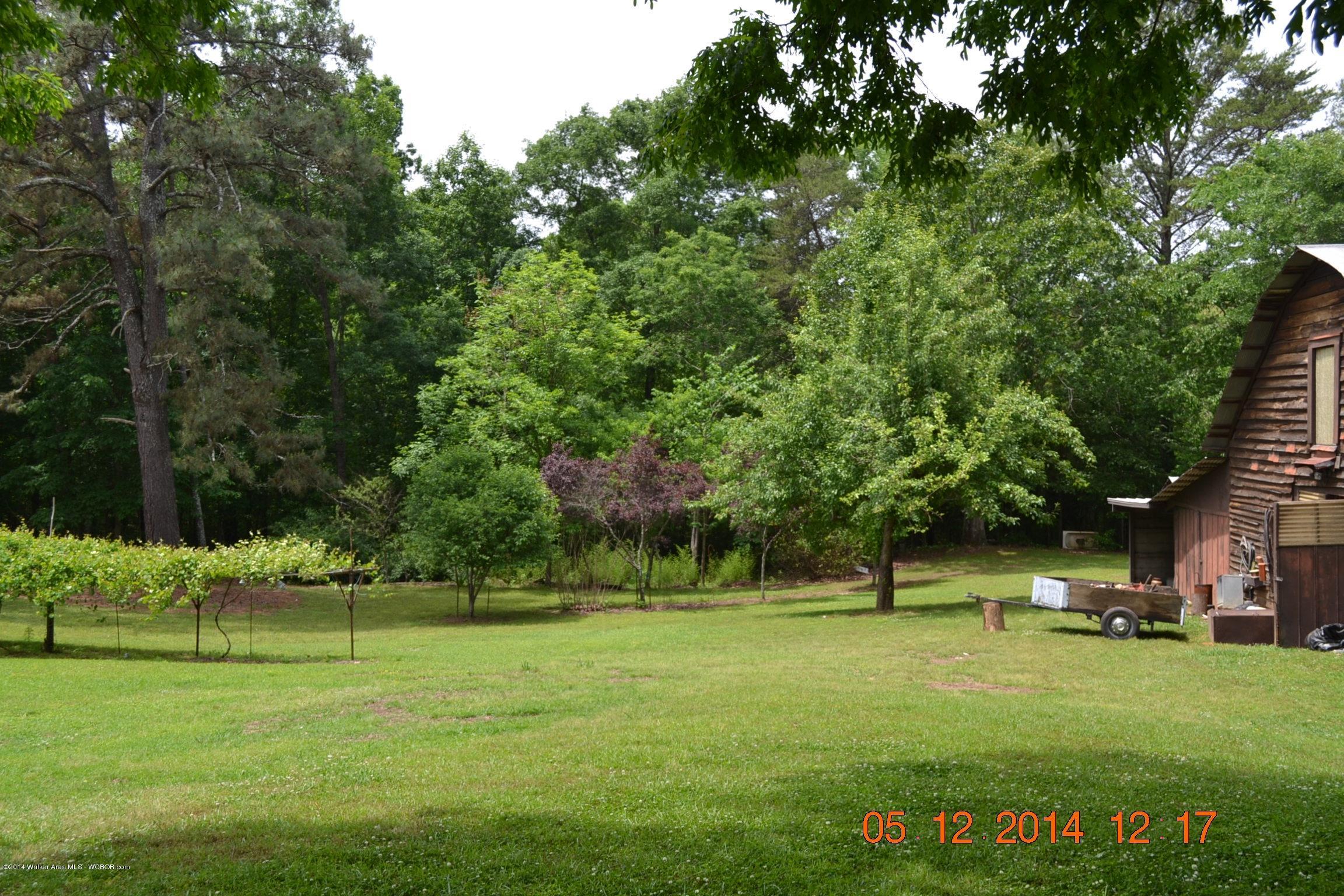 1677 Kilgore Road Nauvoo, AL 35578 - Photo 37 of 50 Gallery Image 37