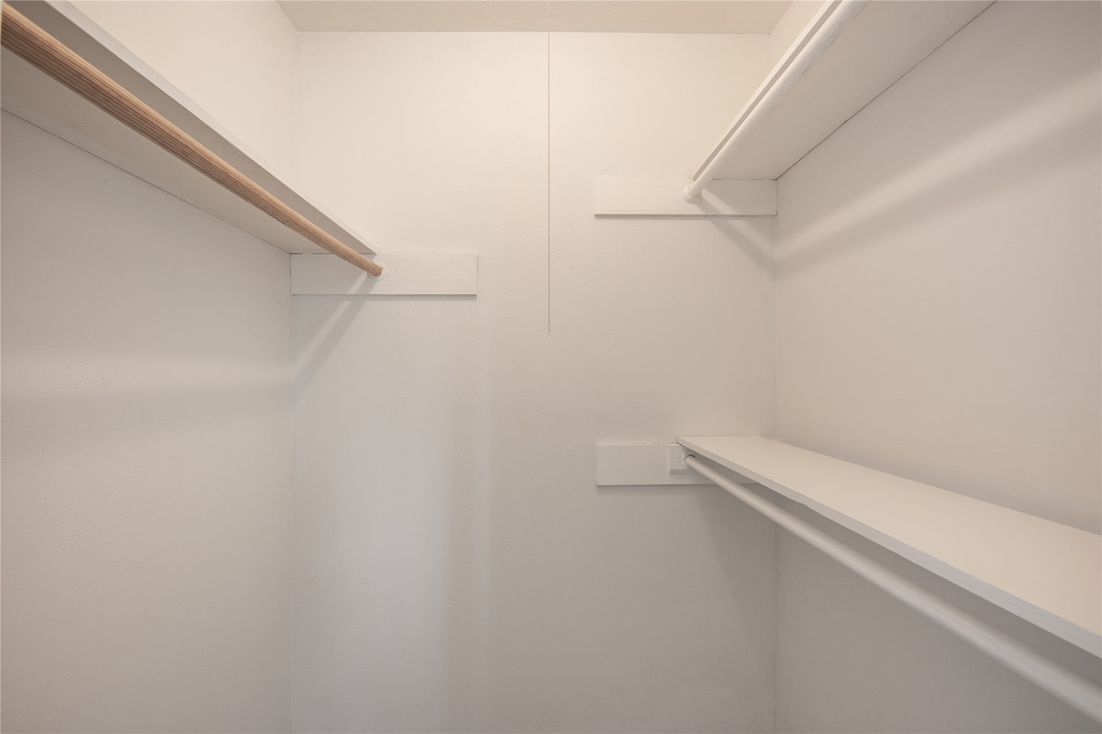 11710 Old Telegraph Road Houston, TX 77067 - Photo 22 of 24 Primary walk-in closet