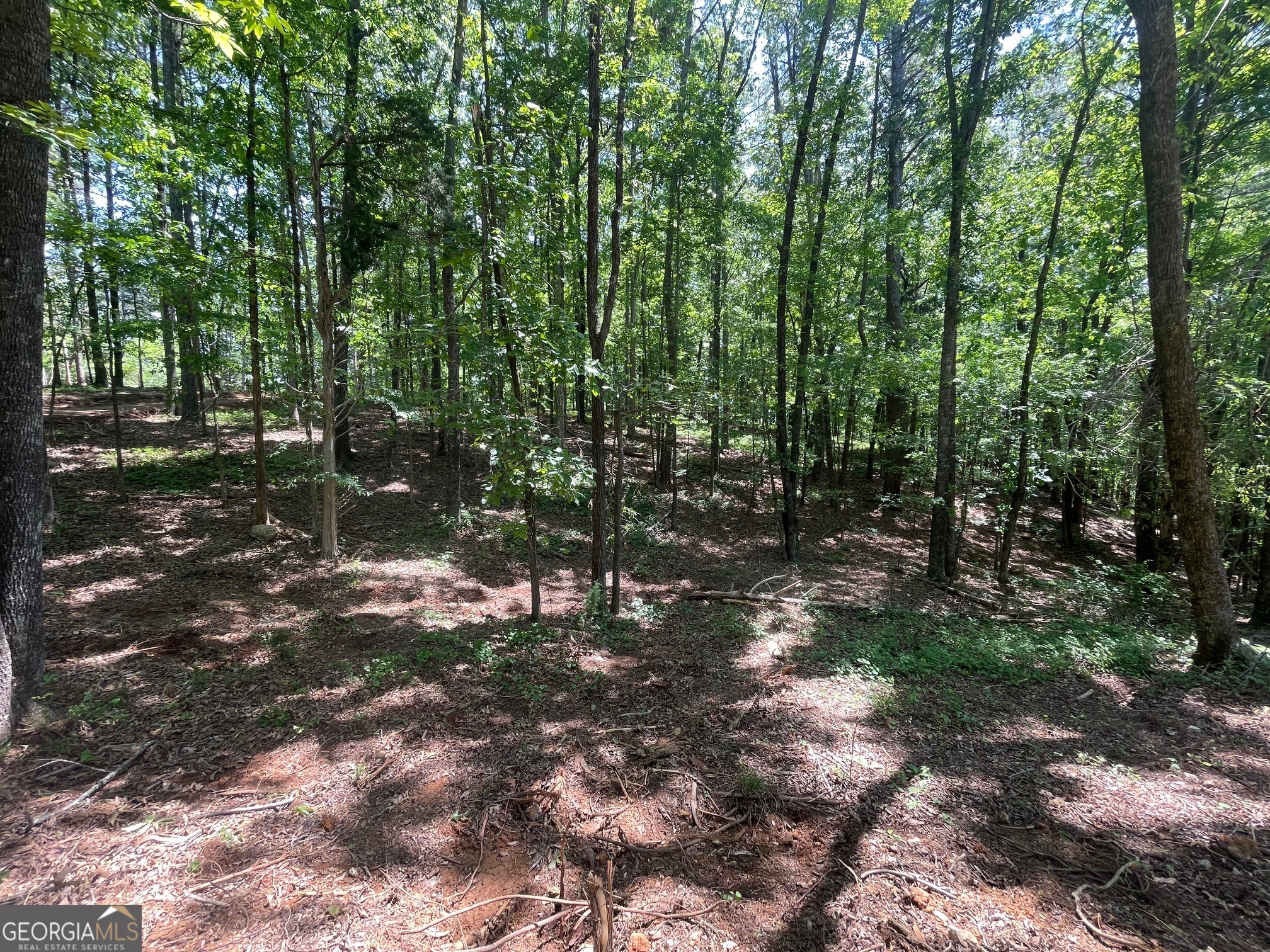 Tract 3 Chalcrest Way Cave Spring, GA 30124 - Photo 8 of 54 Gallery Image 8