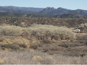 0 Iron Springs Road Skull Valley, AZ 86338 - Photo 1 of 4 Primary Photo