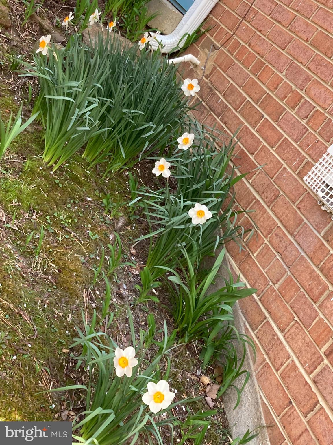 906 North Belgrade Road Silver Spring, MD 20902 - Photo 49 of 56