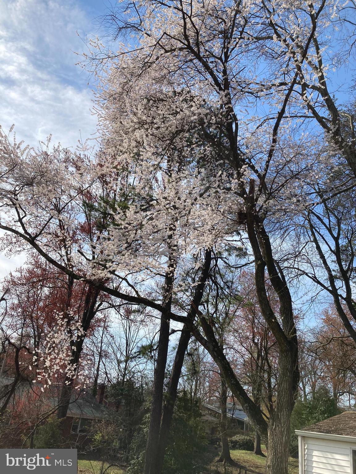 906 North Belgrade Road Silver Spring, MD 20902 - Photo 51 of 56