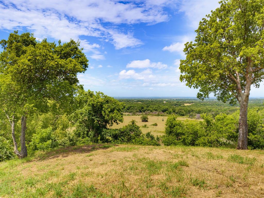 Lot 4 Old Decatur Road Decatur, TX 76234 - Photo 10 of 34