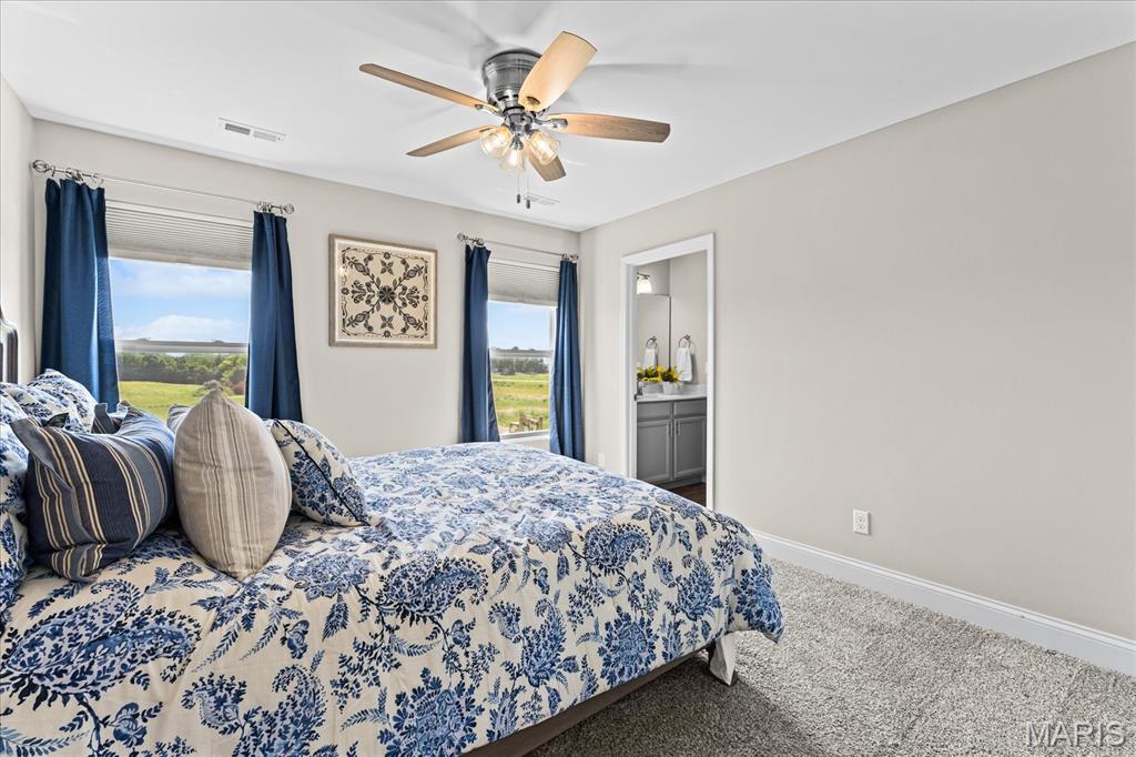 1434 Montauk Road Troy, IL 62294 - Photo 58 of 82 Gallery Image 58