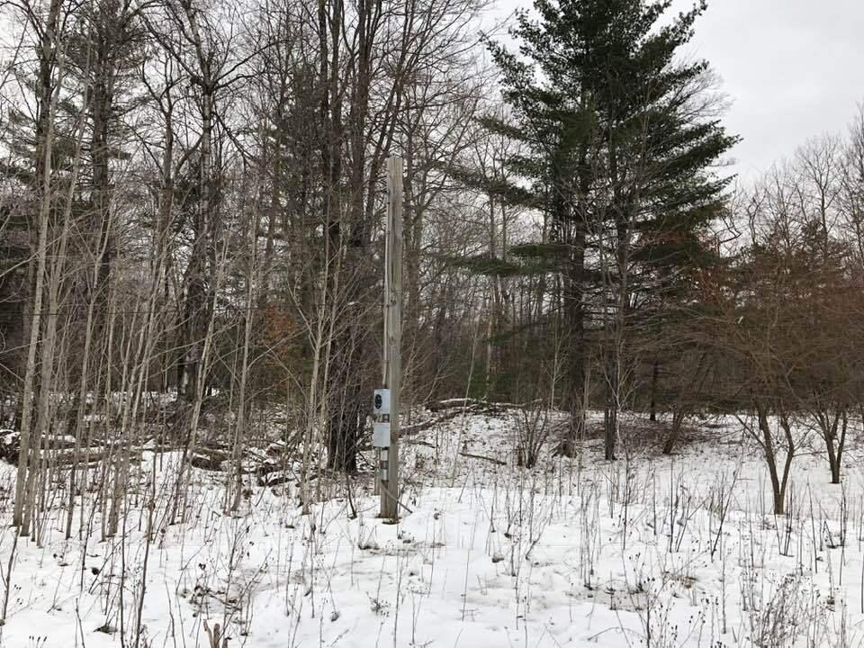 2743 Lone Pine Road Gaylord, MI 49735 - Photo 4 of 6 Gallery Image 4