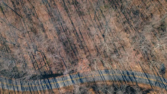 a view of a mountain range with trees in the background