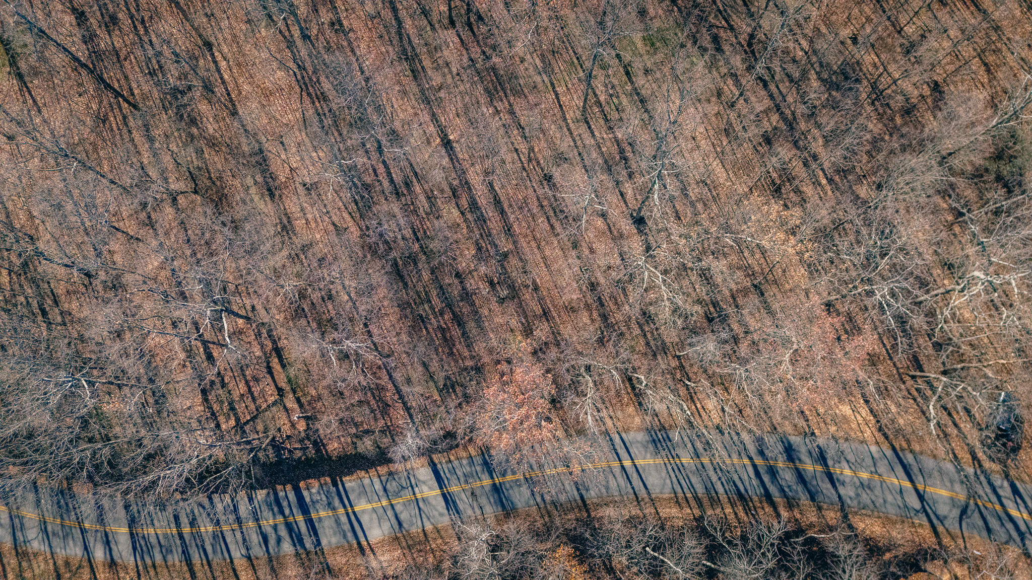 0 Bore Auger Road Blue Ridge, VA 24064 - Photo 13 of 25 a view of a backyard