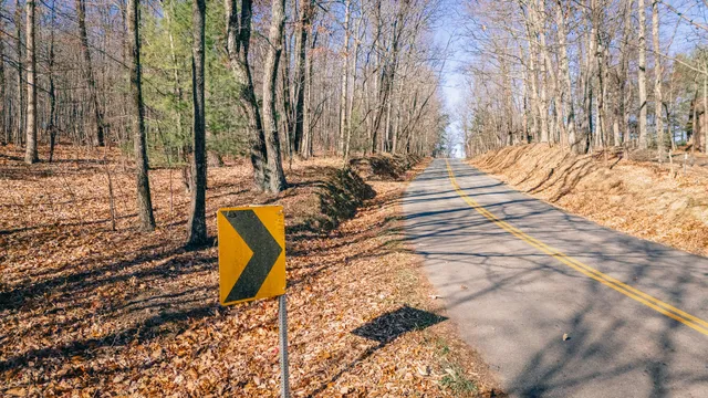 a view of a mountain range with trees