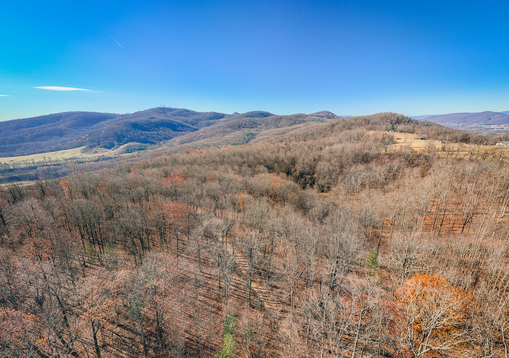 0 Bore Auger Road Blue Ridge, VA 24064 - Photo 18 of 25 a view of a mountain range with trees
