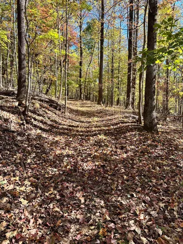a view of dirt field with trees