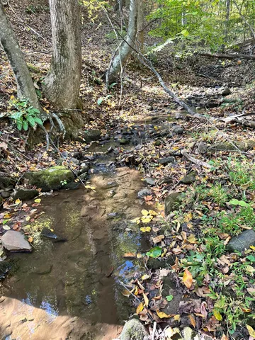 a view of a backyard of the house