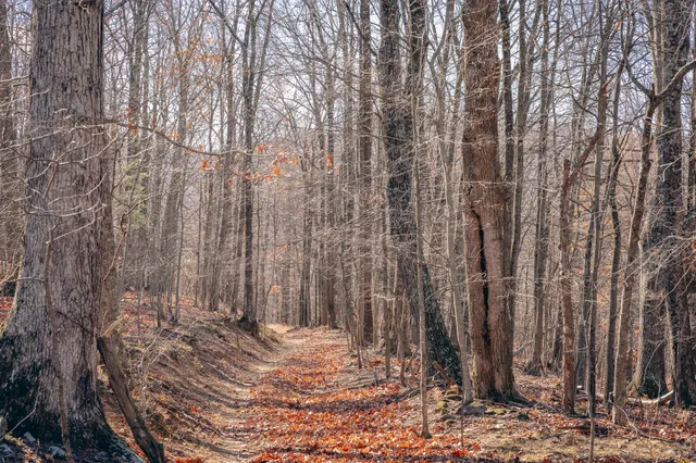 a view of a backyard of the house